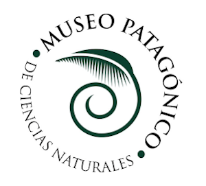 LOGO MUSEO