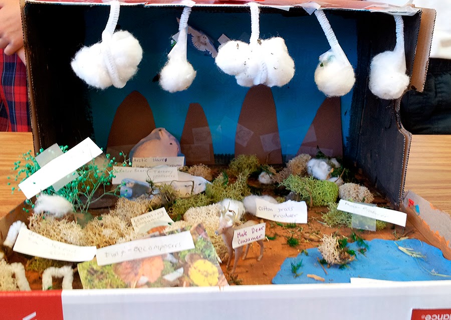 Welcome to Fourth Grade: Ecosystem Dioramas