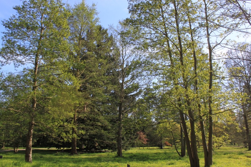 Arboretum de la Vallée aux Loups
