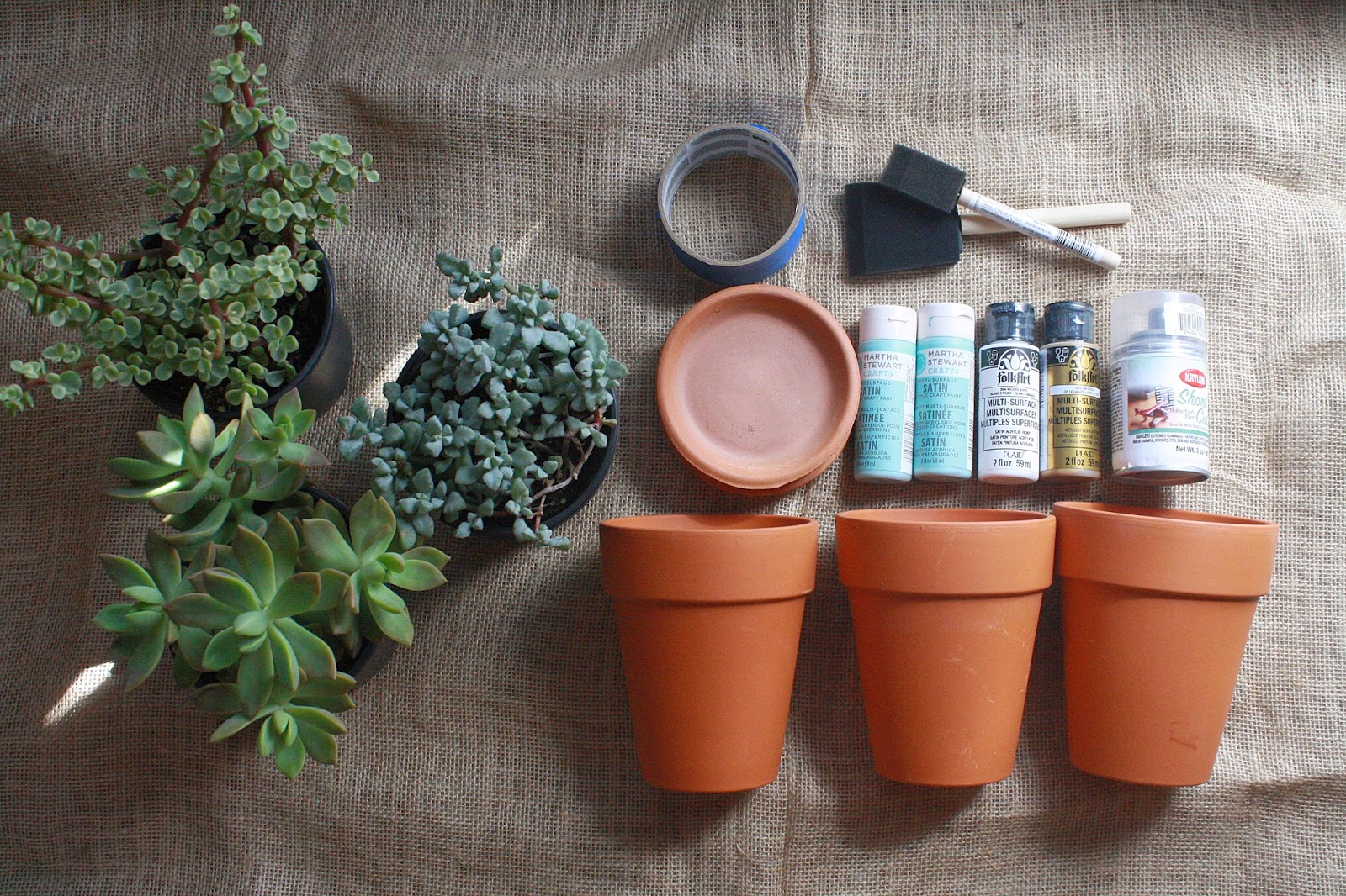 Juneberry Lane Tutorial Tuesday DIY Succulent Painted Pots