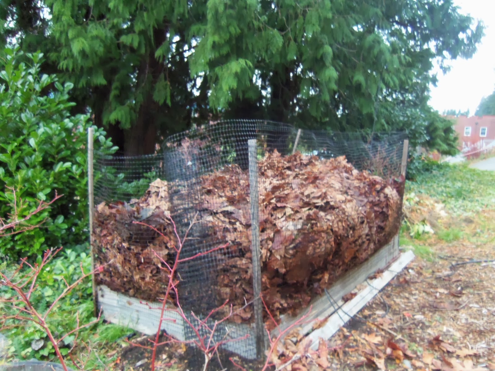 Sustainable Saints Leaf Mold Bin