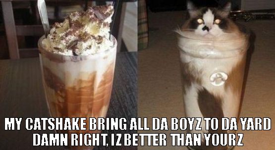 cat shake meme milkshake