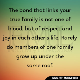 the joy of being a member of my family essay the joy of being a member of my family essay