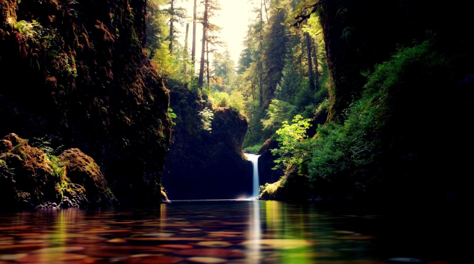 Tropical Rainforest Waterfalls Tropical Rainforest Waterfalls