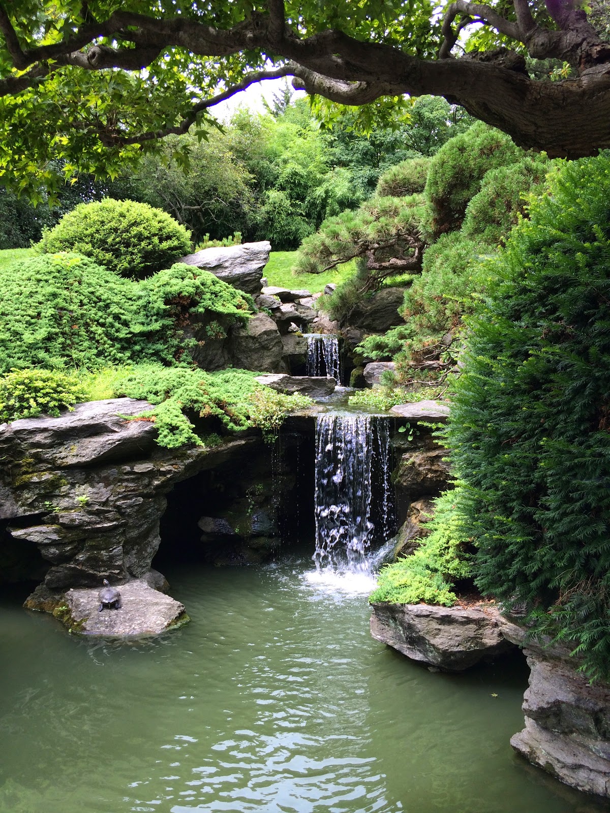 My Zen Garden: Japanese Hill and Pond Garden
