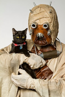 Star Wars Villains Like Pets Too