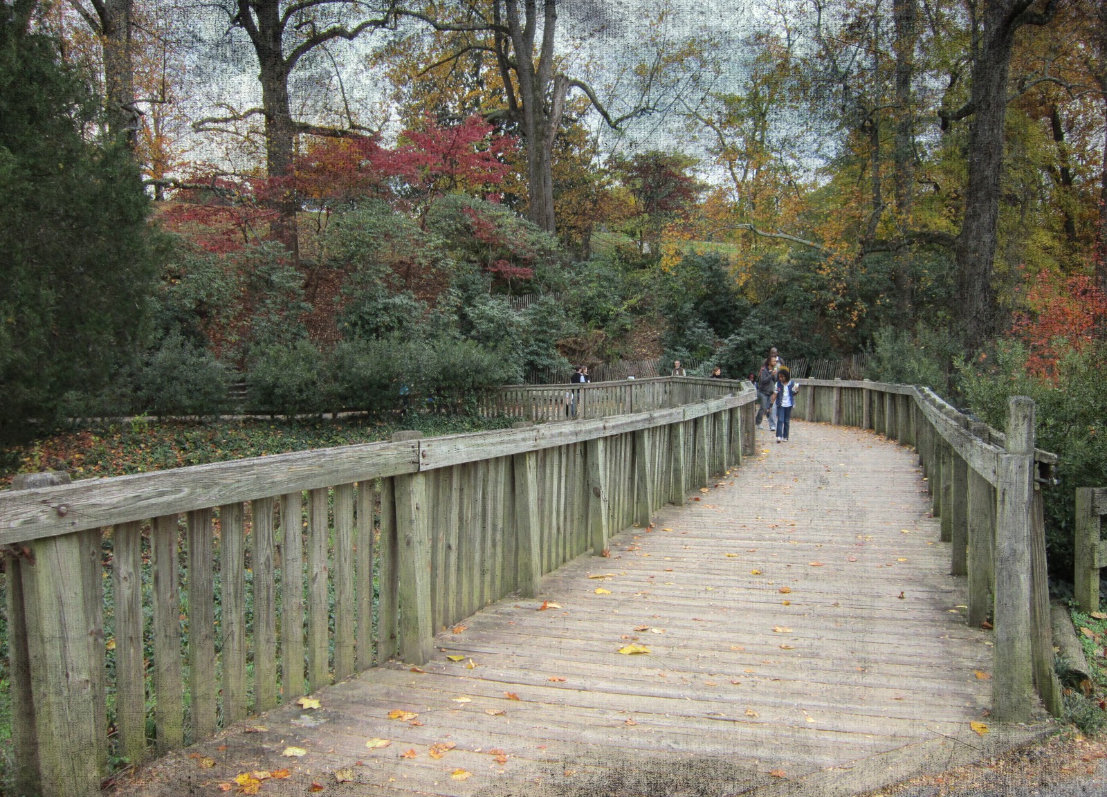 Climbing the Digital Mountain Maymont Zoo Footbridge 121811