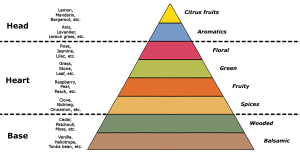 Top Middle Base Notes Chart