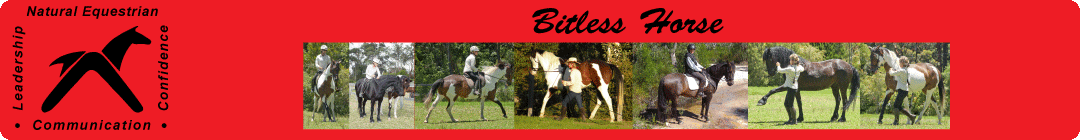 Bit-less Horse