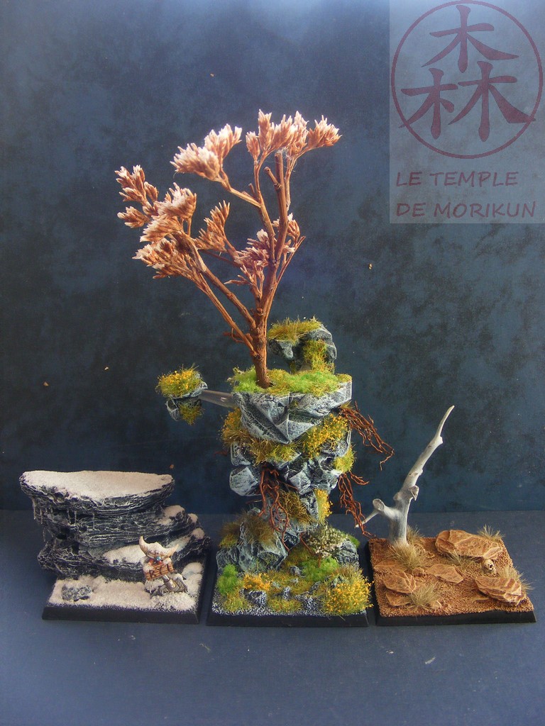 [Image: Concours%2BMonty%2B5%2B%252823%2529.JPG]