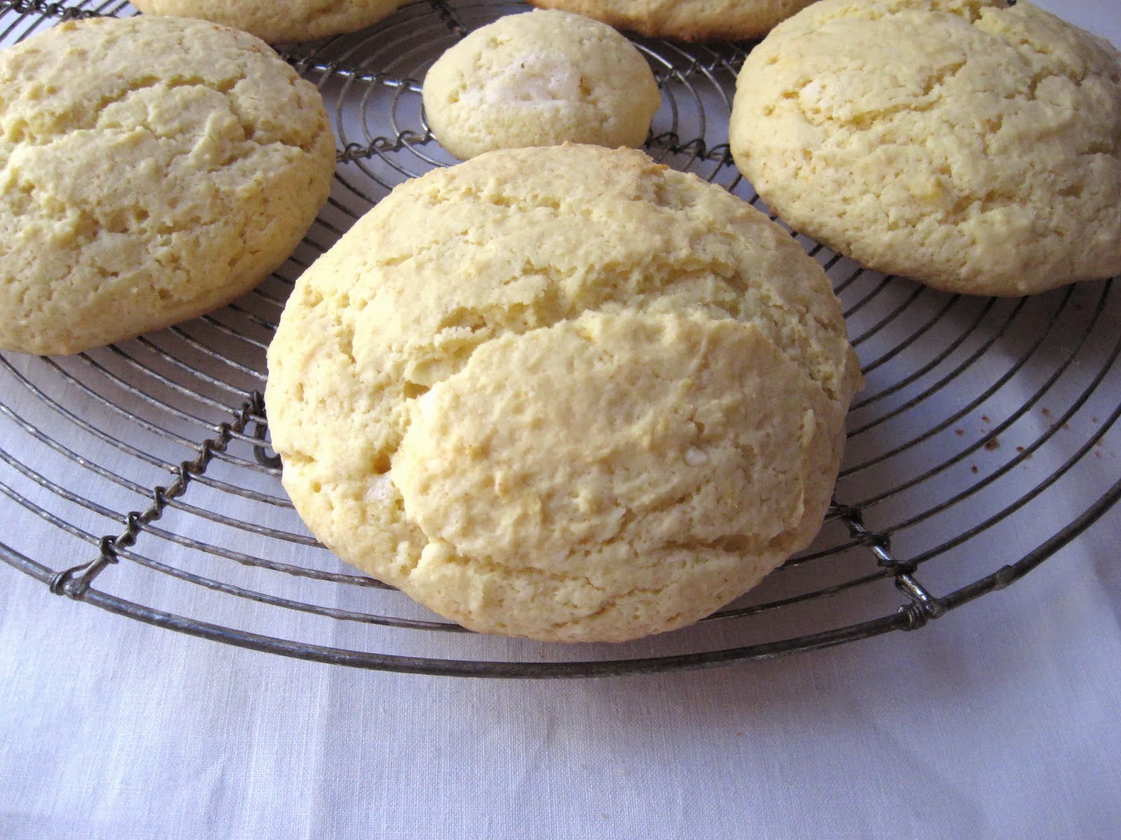 she's in the kitchen big lemon cookies