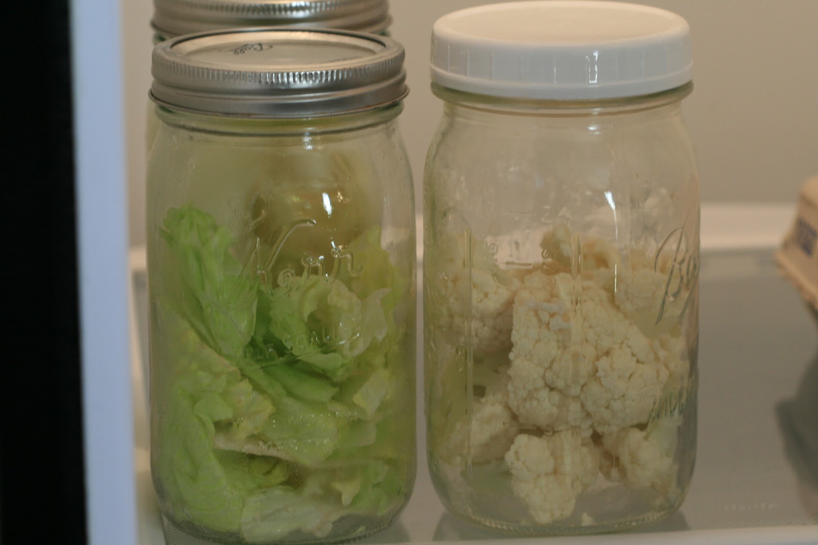Store Lettuce in Jars to Keep Fresh