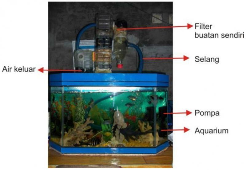 Tips Membuat Filter Aquarium Jernih Tanpa Perlu Lagi Menguras Air Kaskus Dimension