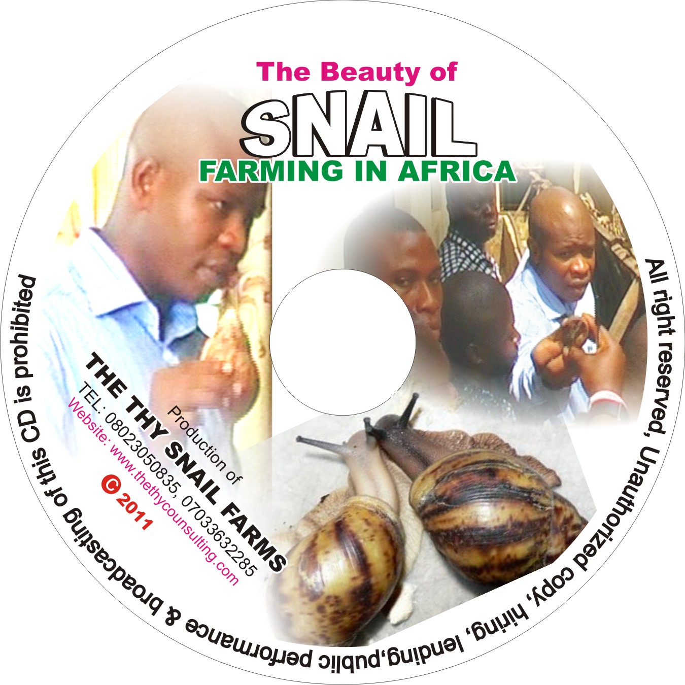 Starting Up A Snail Farm In Nigeria The Benefits SNAIL REARING IN