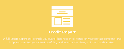 http://www.cnbizsearch.com/search/creditreport
