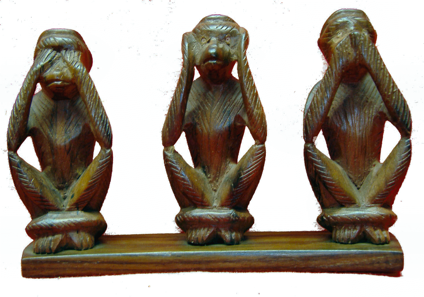 monkey no see