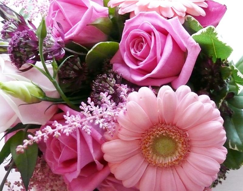 Beauty Of Flowers: Beautiful Pink Roses