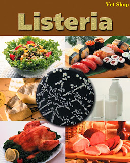 Nguồn gốc lây nhiễm Listeria.