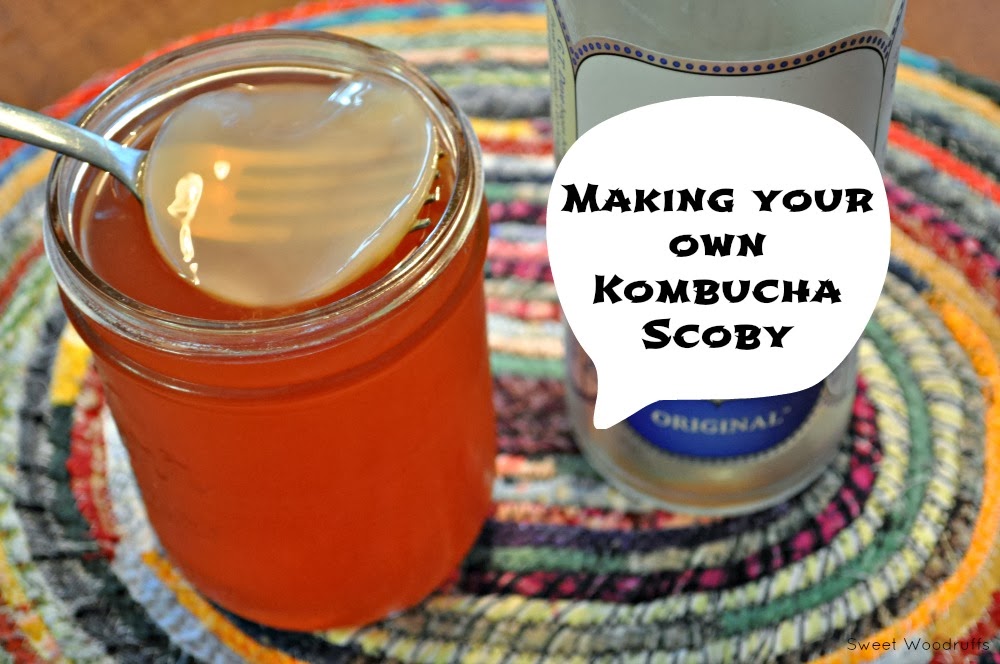 Sweet Woodruffs Make Your Own Kombucha SCOBY