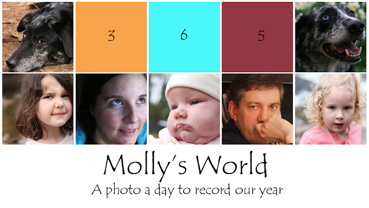 Molly's World