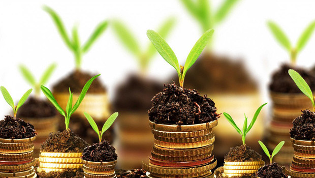 zengin olma sanati blogger