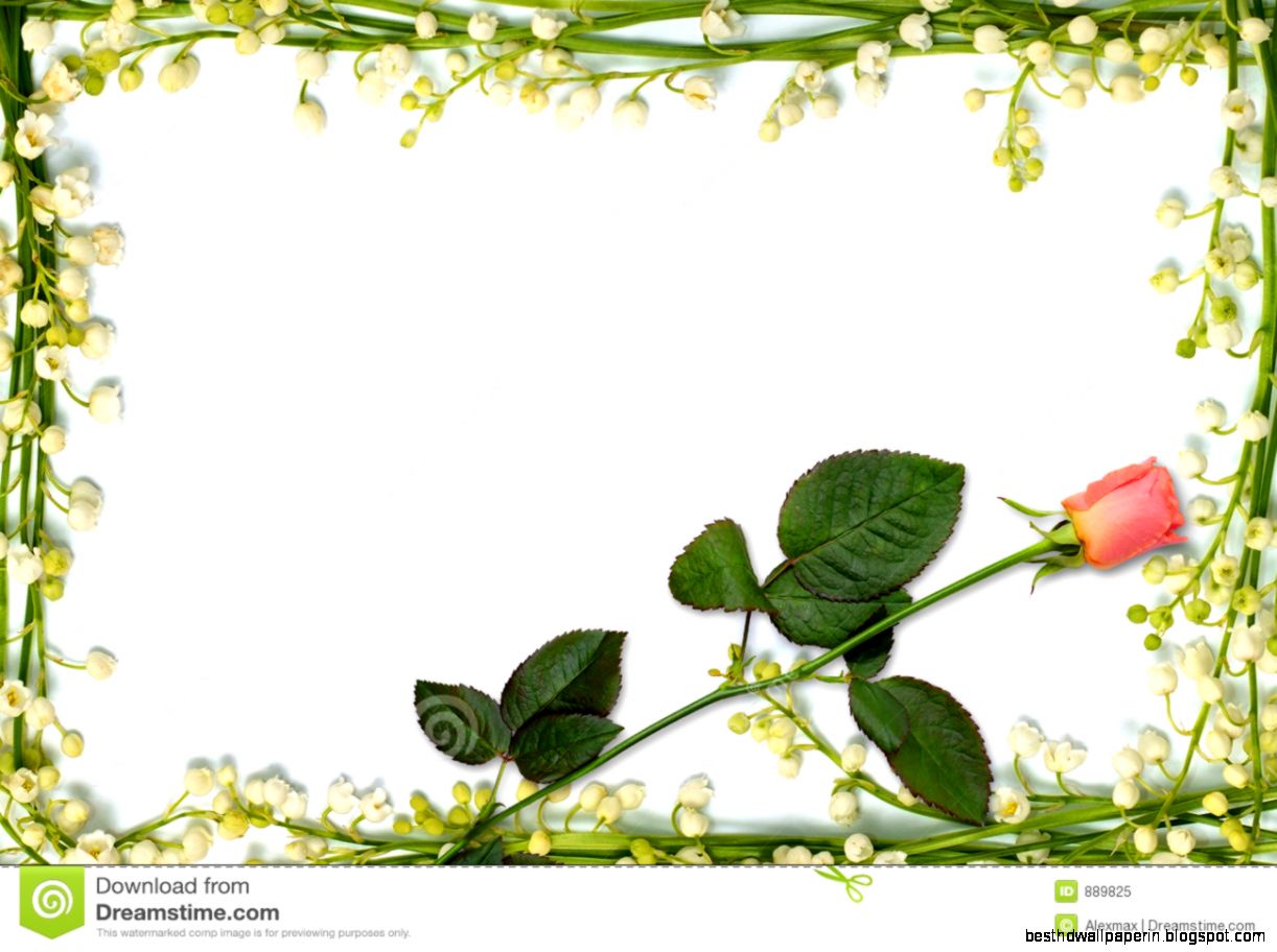 Hd Flower Photo Frames Best HD Wallpapers