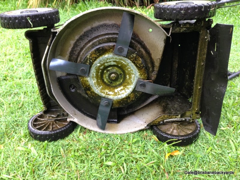 Lawn Mowing in The rain