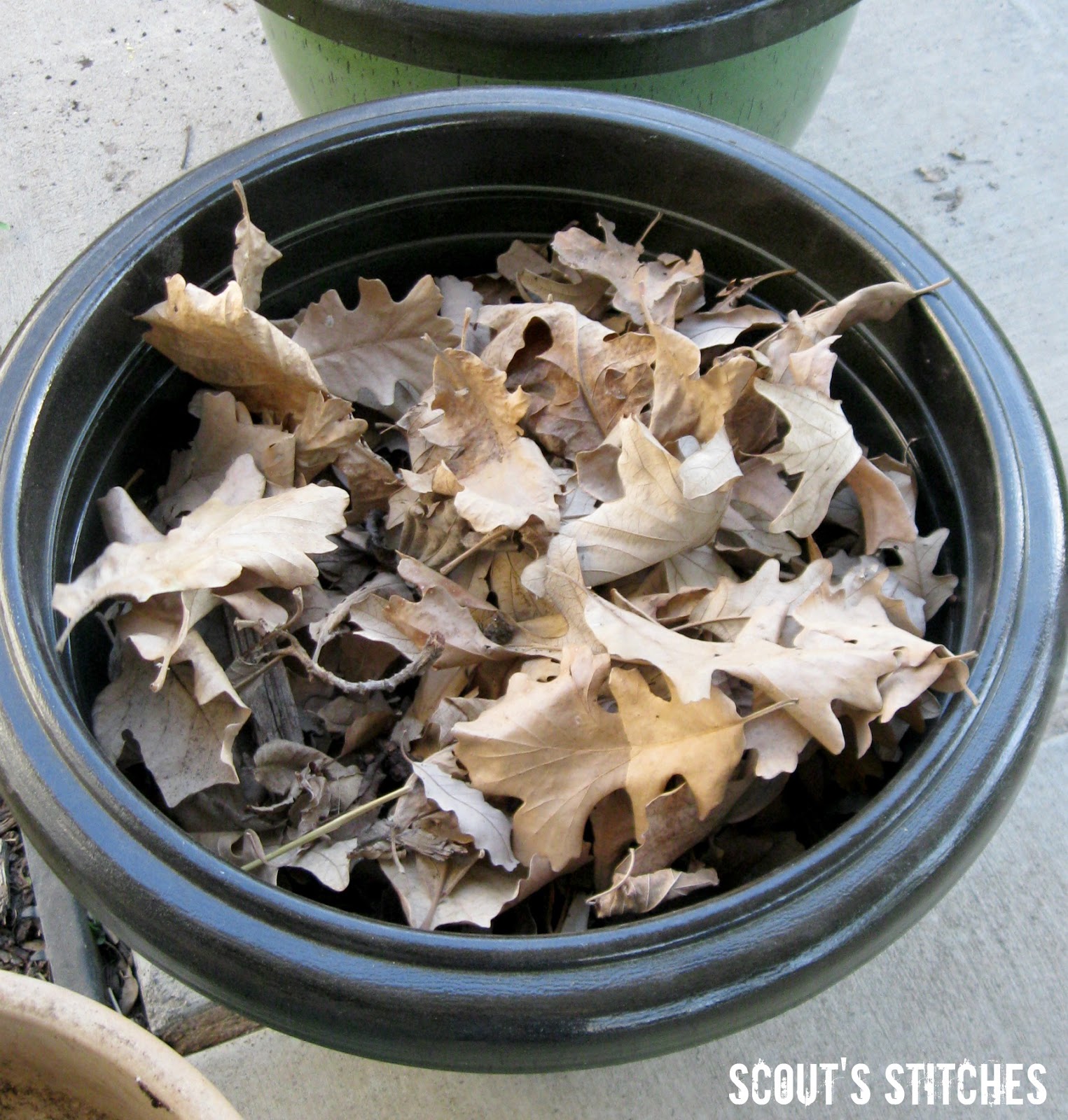 All The Joy Stretching Potting Soil How Does Your Garden Grow?