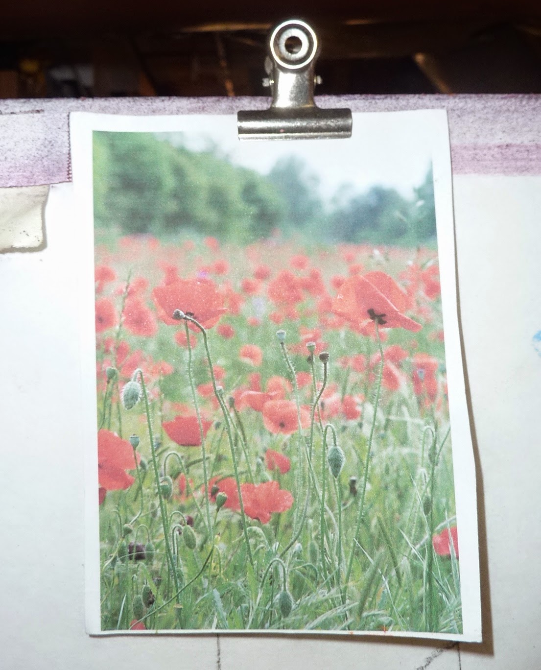 Painting My World What to do When You Don't Know What to Paint