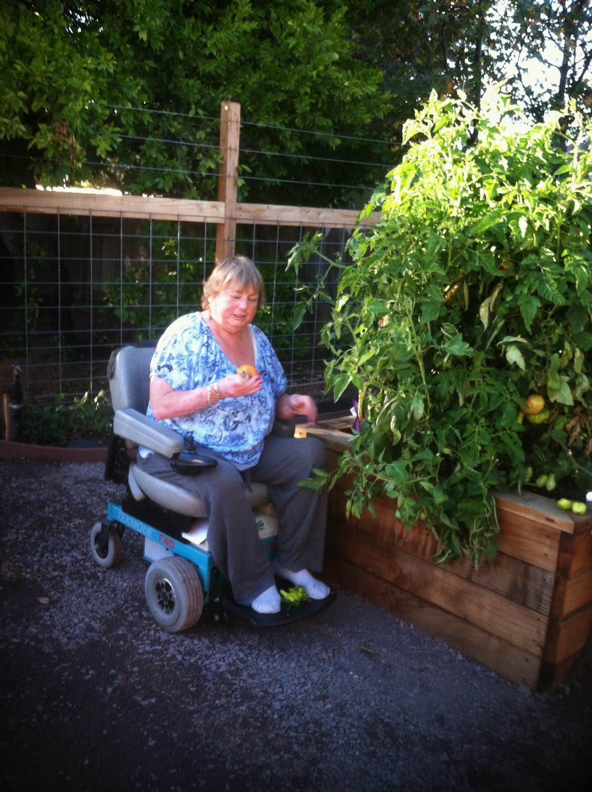 Gardens Project Wheelchair Accessible Pathways at Vinewood!