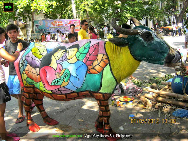 Vigan] ▻ Carabao Painting 2012: Karbo Festival of Vigan - EDMARATION #TownExplorer • TRAVEL BLOG