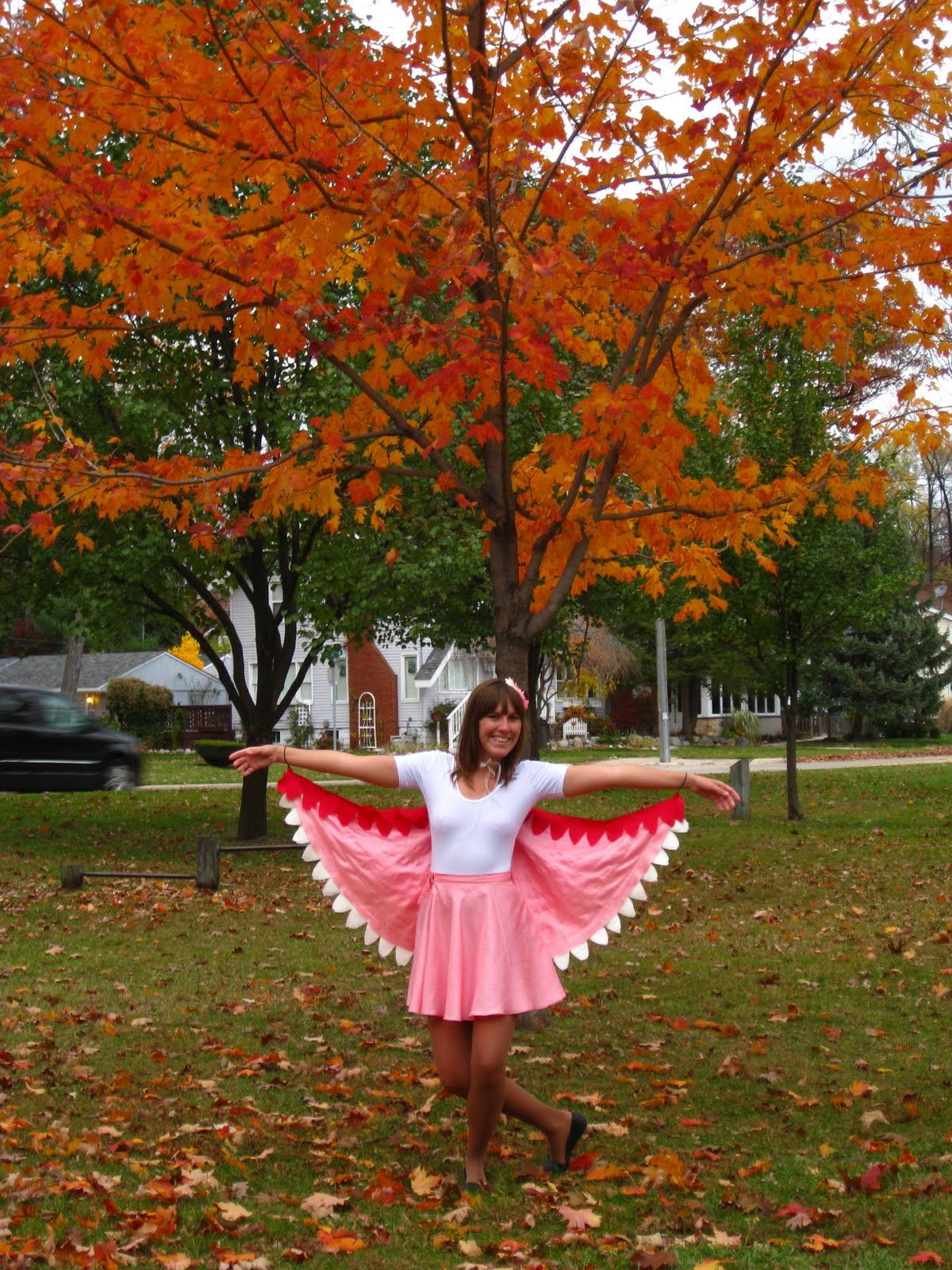 all dressed up and nowhere to go: Birds of a Feather Costume Tutorial