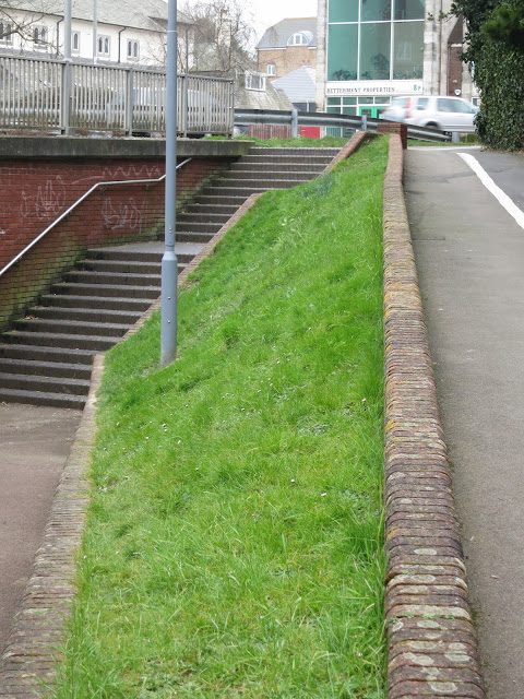Overall view of the road, the entrance to the underpass and grass where the thistle grows and daisies flower.