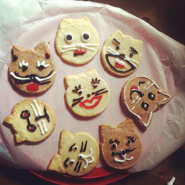 Cat Cookies