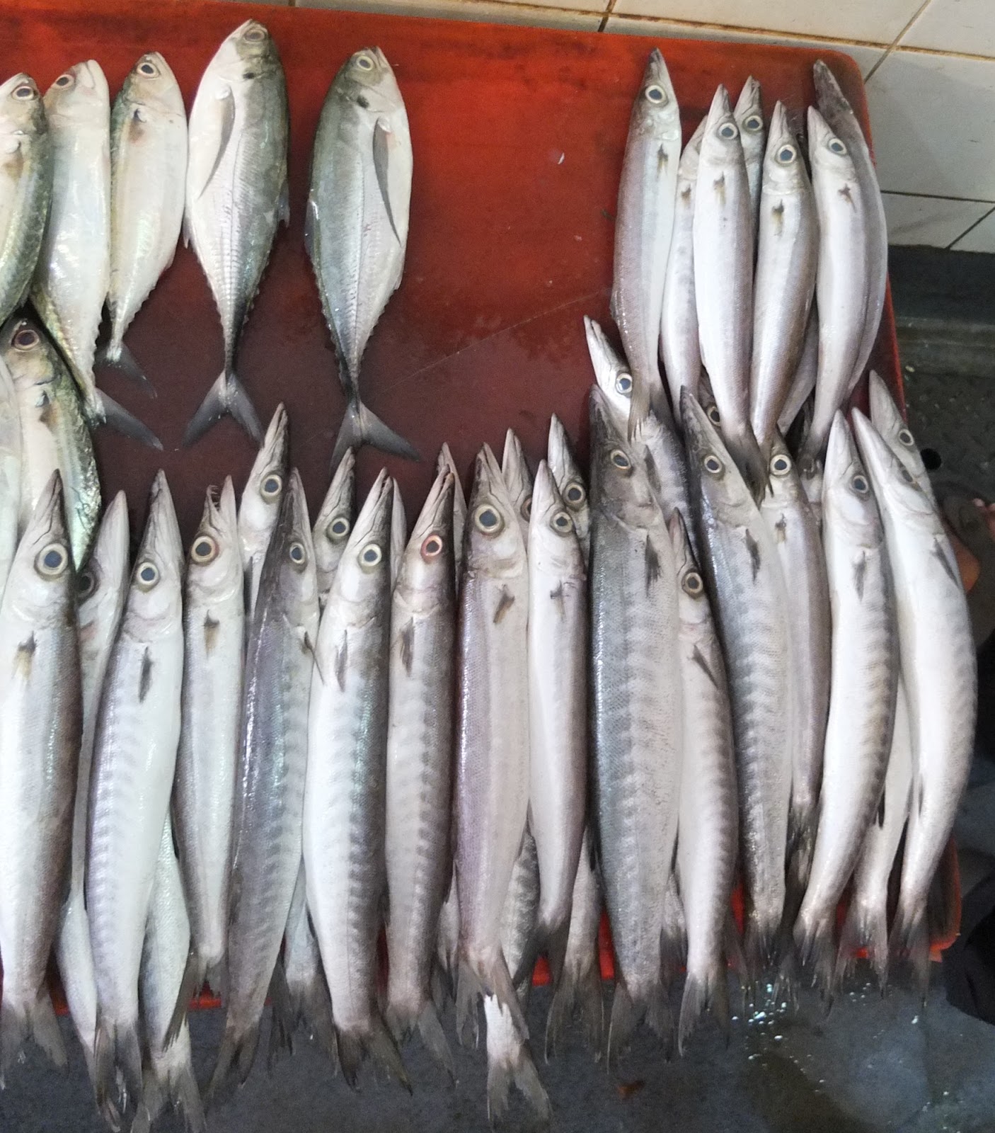 JOM.MAKAN.LIFE. SANDAKAN  SEAFOOD PARADISE