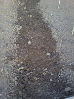 damp soil