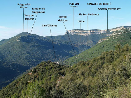 Vistes de ponent des de la carena de les Roques del Coix Vistes de ponent des de la carena de les Roques del Coix
