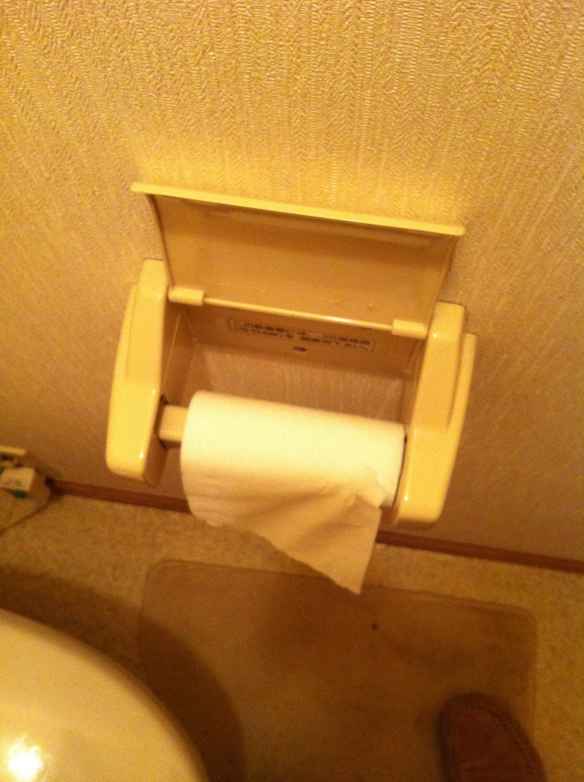 The Polikaitis Family The Amazing Japanese Toilet (and Toilet Paper