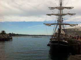 sailing tall ships on beautiful sydney harbour