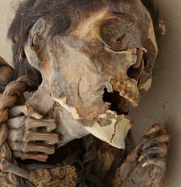 Múmias chilenas revelam sinais de envenenamento por arsénico