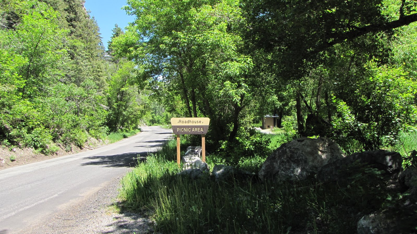 The Wonderful World Picnic at American Fork Canyon