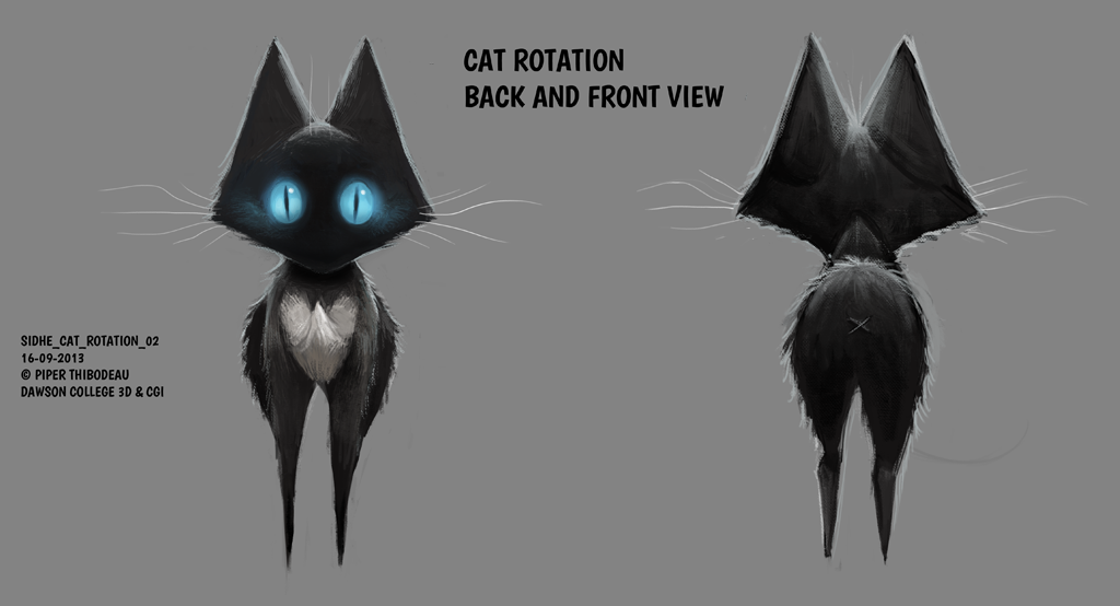 SIDHE_CAT_ROTATION_02.png