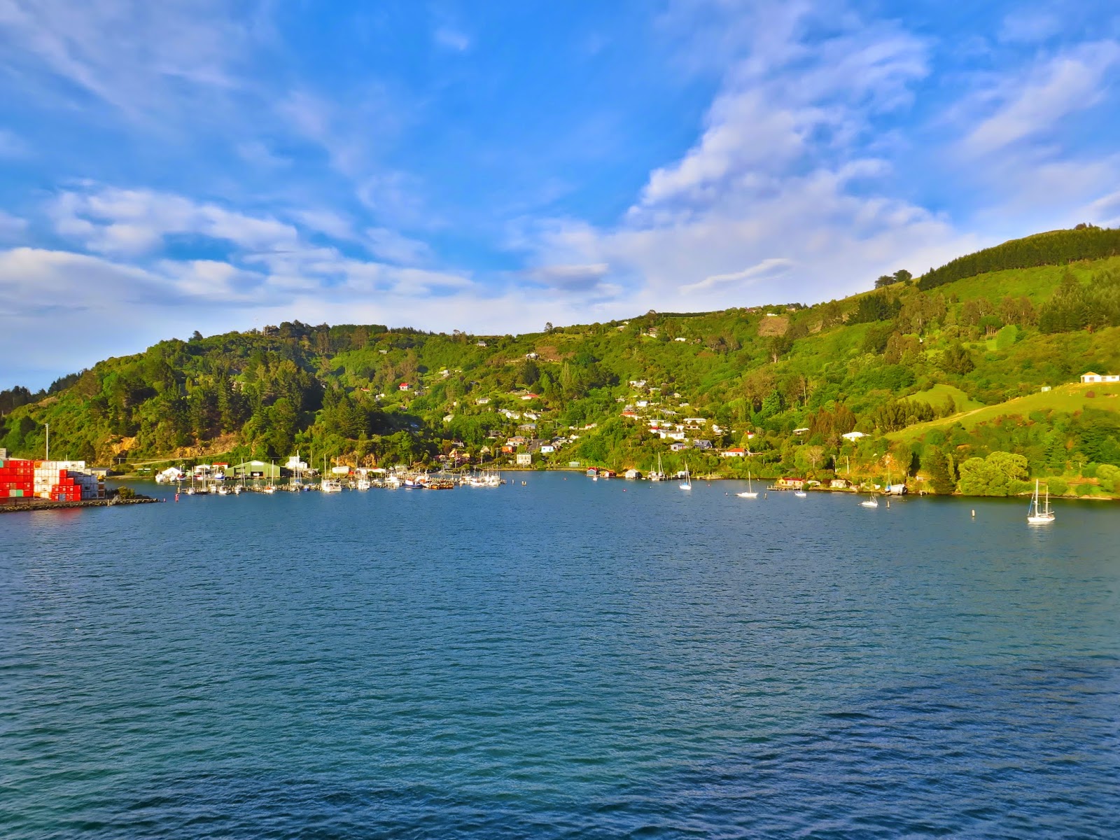 Where is Cookie? Dunedin offers southern comfort in classic New