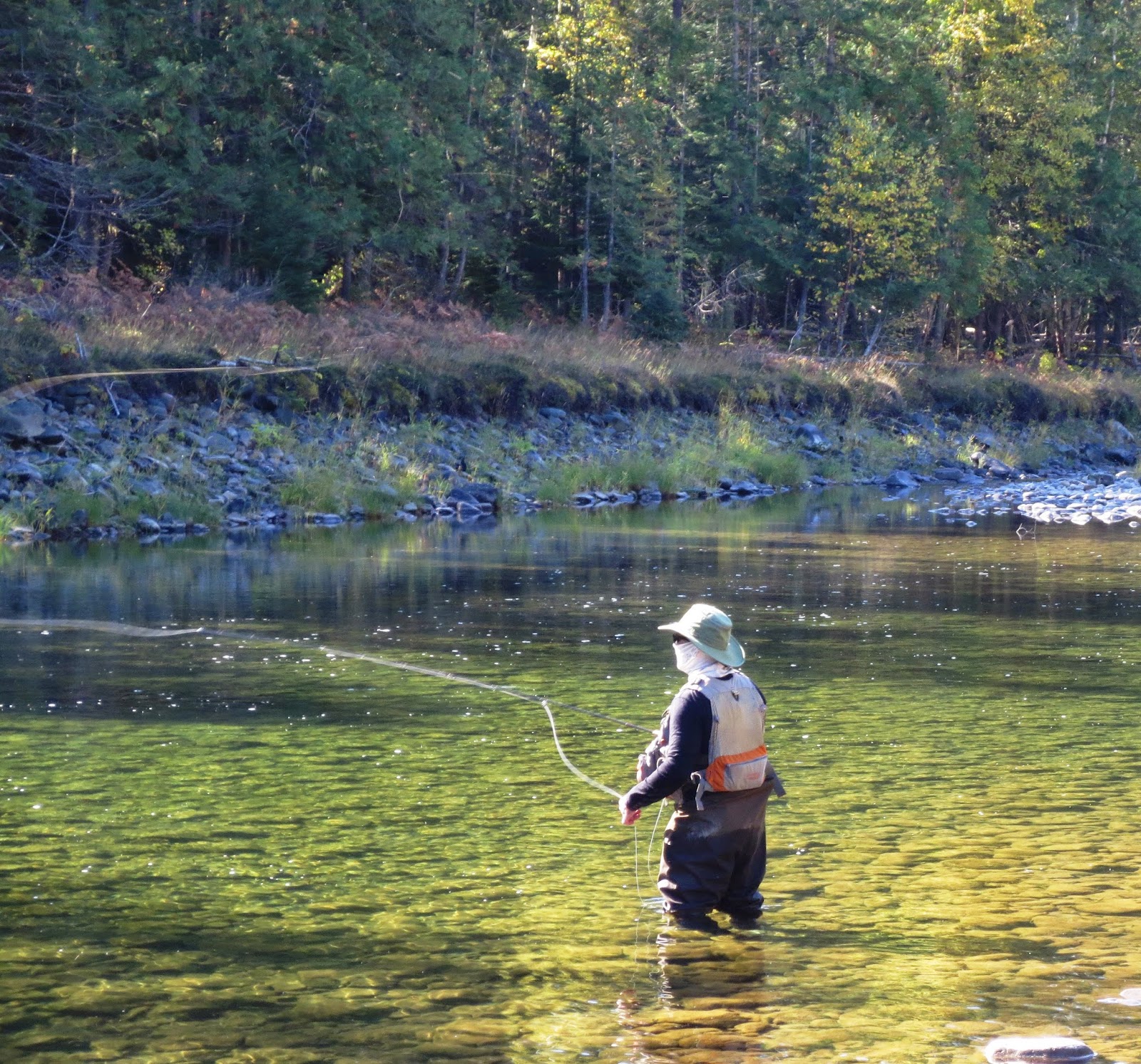 Idaho Fly Fishers Idaho Montana Fishing Fly Fishing Trips, Idaho