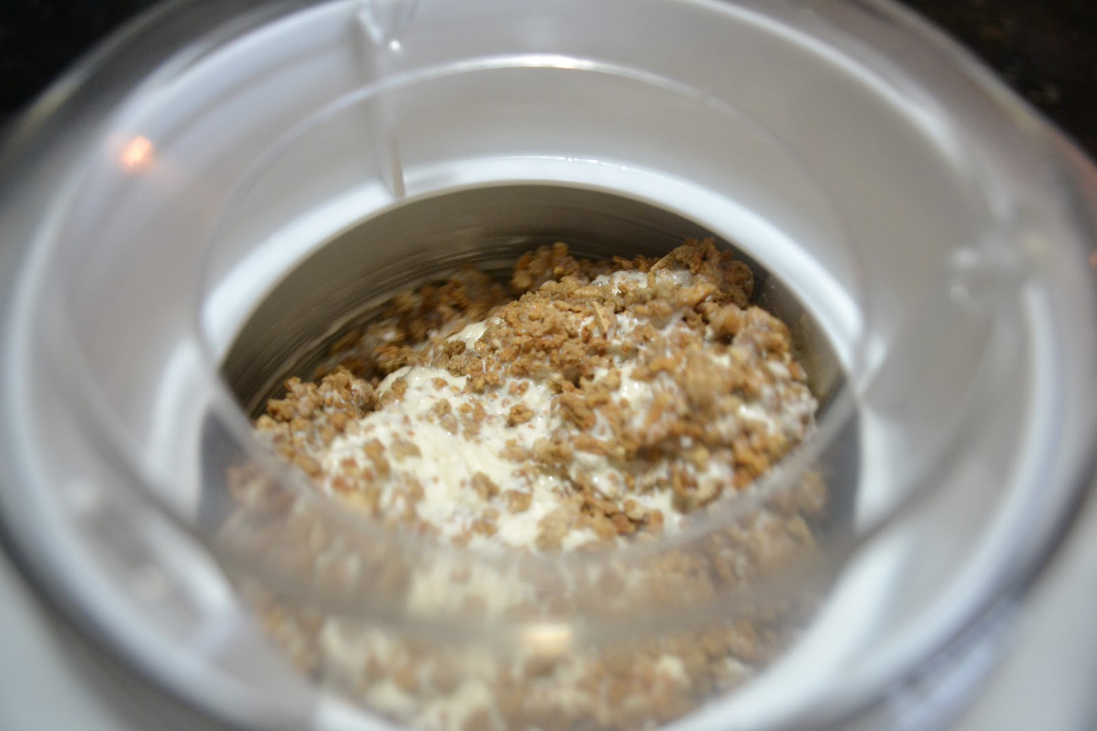 Greedy Girl Vanilla bean, Grapenut Icecream (NO EGGS)