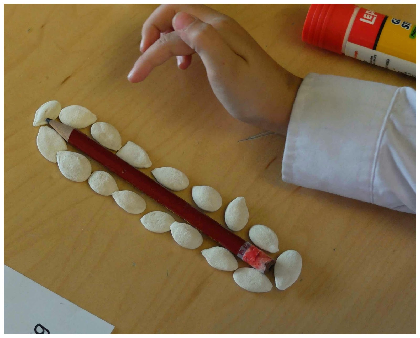 pumpkin seed measuring rubber boots and elf shoes