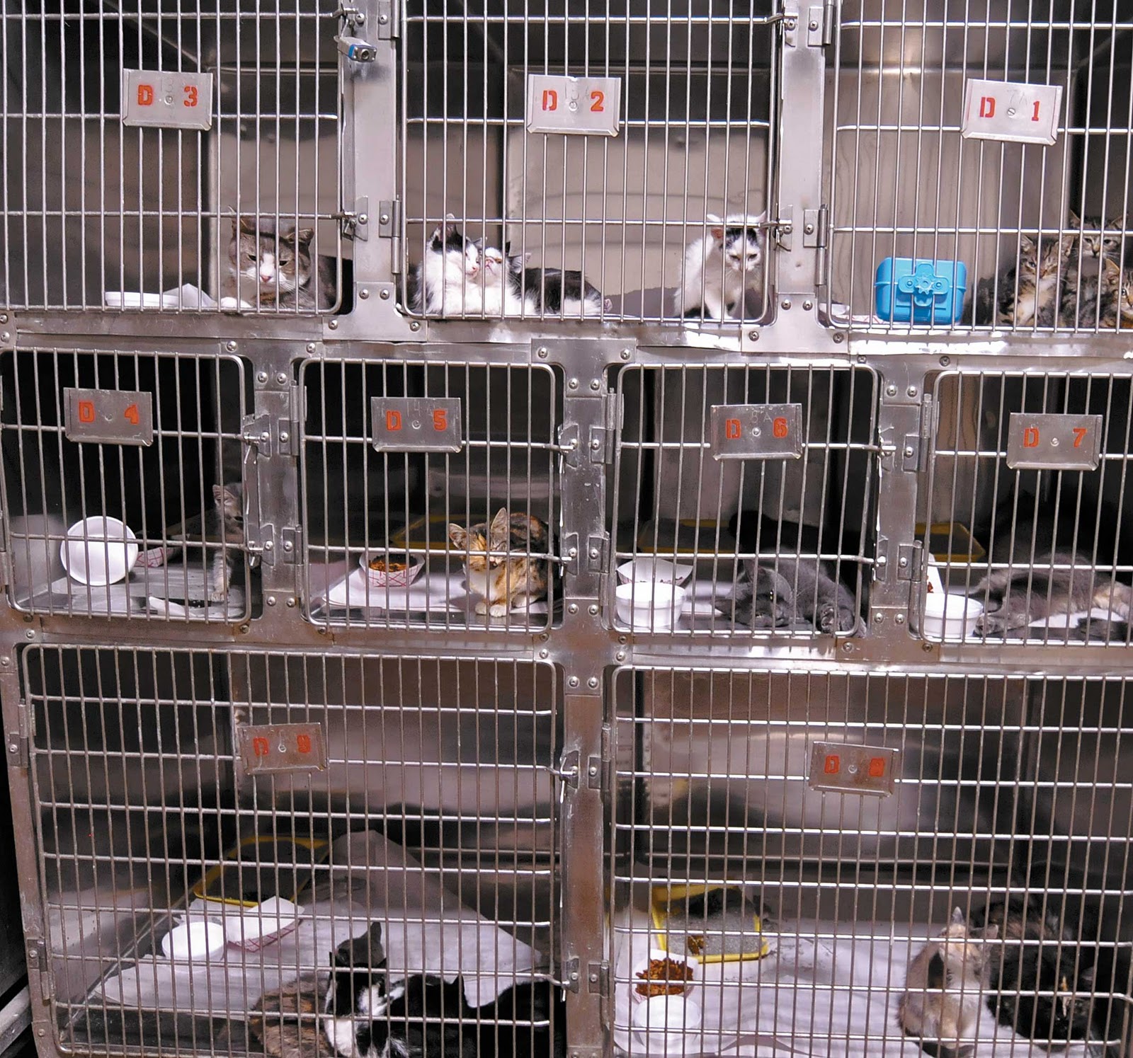 Living Sheltered 09/01/2011 10/01/2011