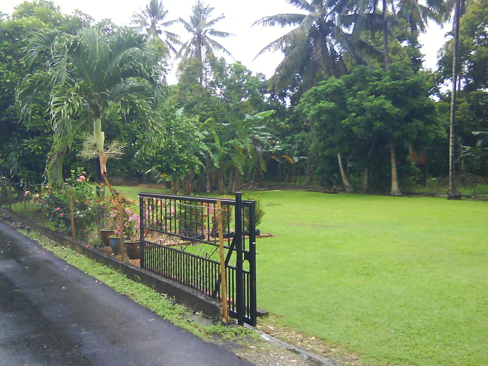 Halaman Rumah Kampung Pictures to Pin on Pinterest - PinsDaddy