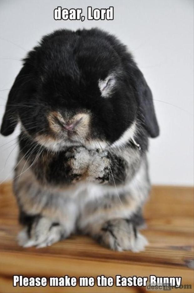 Funny Easter Clip Art funny