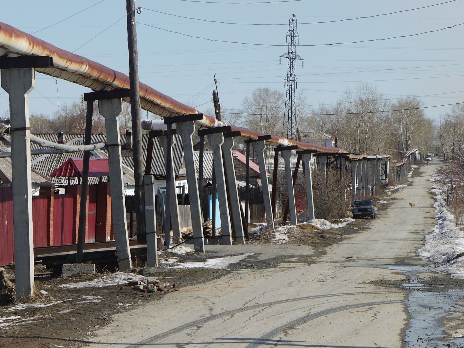 asian street meat movie